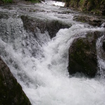 IMGP2794